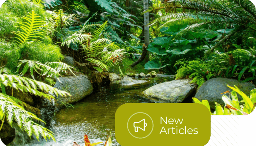 Mini Rainforest Garden & Artificial Stone - Solusi Lanskap Tropis untuk Hunian Anda