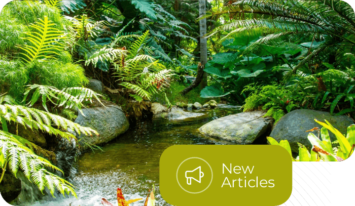 Mini Rainforest Garden & Artificial Stone - Solusi Lanskap Tropis untuk Hunian Anda