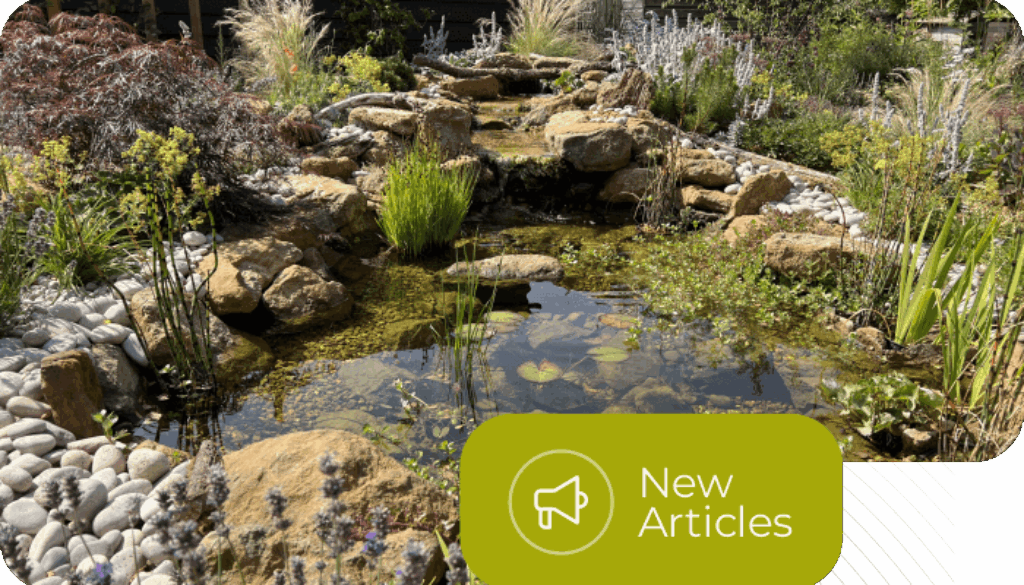 Natural Pond & Natural Pool - Tren Desain Kolam Alami yang Estetik dan Natural